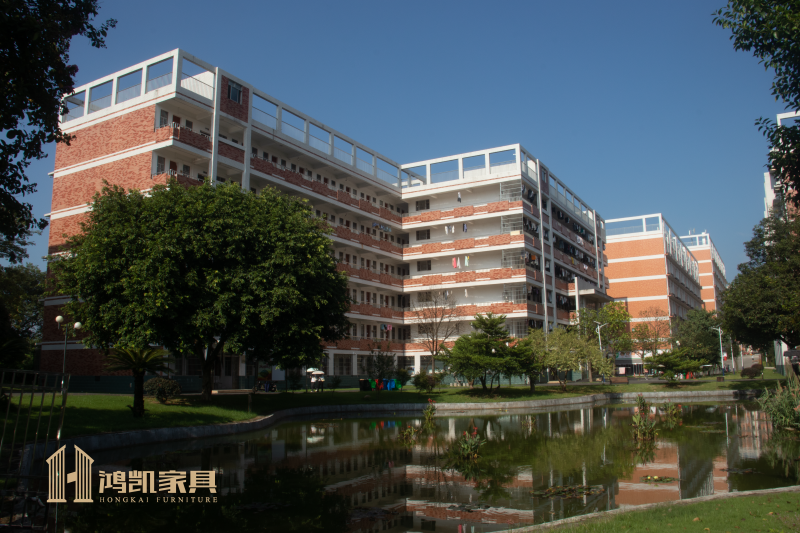 廣西生態(tài)工程職業(yè)技術(shù)學(xué)院上床下桌公寓床