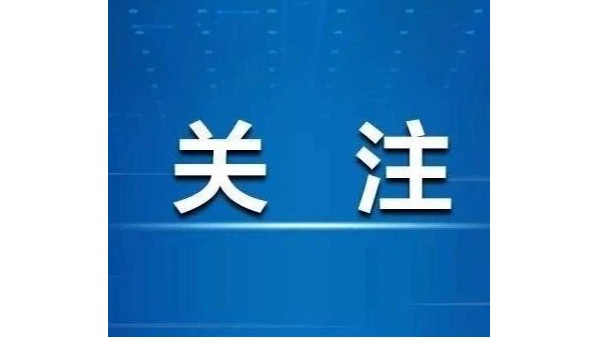 鴻凱家具 | 分公司和子公司業(yè)績(jī)能算作投標(biāo)人業(yè)績(jī)嗎？